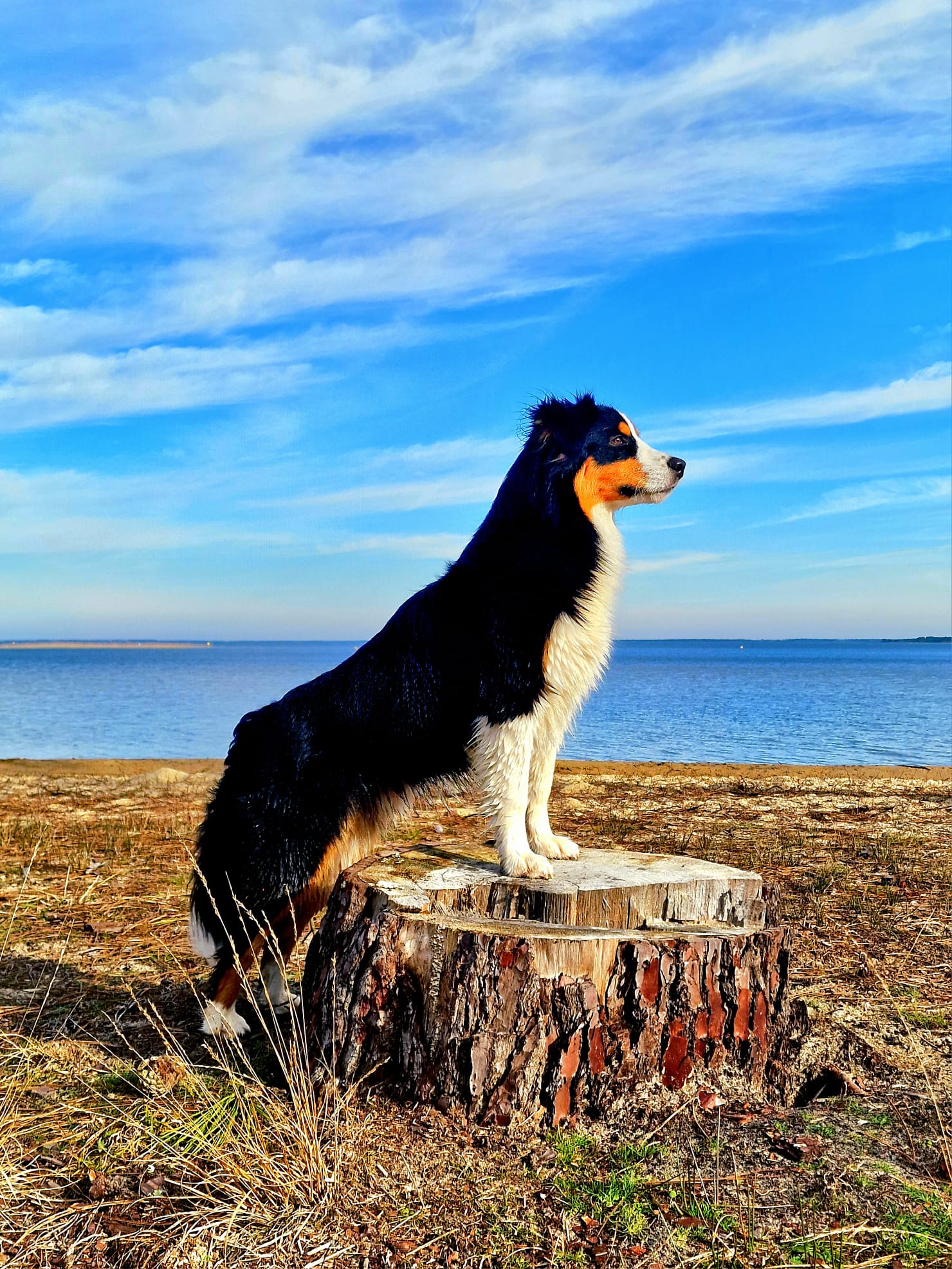 whatsapp image 2026 01 20 at 15.26.57